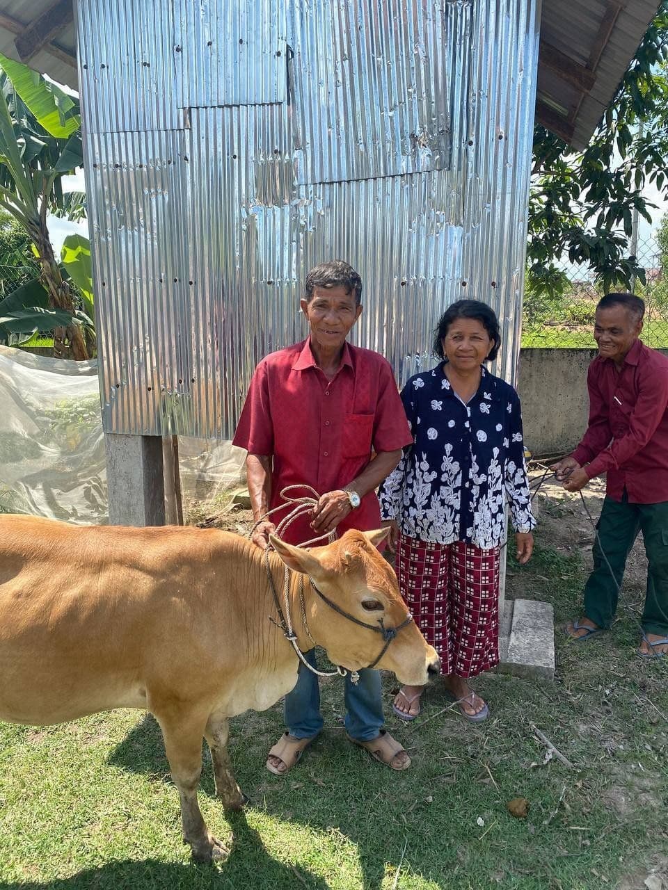 Project Cow